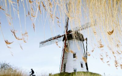 Les reflets mystiques de Bruges : Un regard sur « West of Bruges » de Charlie Waite